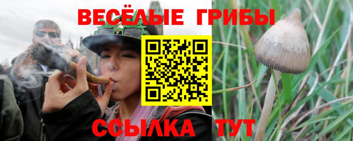 Псилоцибиновые грибы прущие грибы Киселёвск