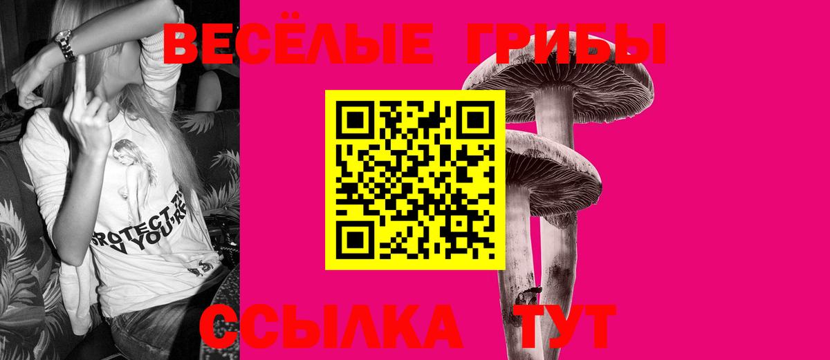 Киселёвск  Псилоцибиновые грибы Magic Shrooms  Вход с VPN 