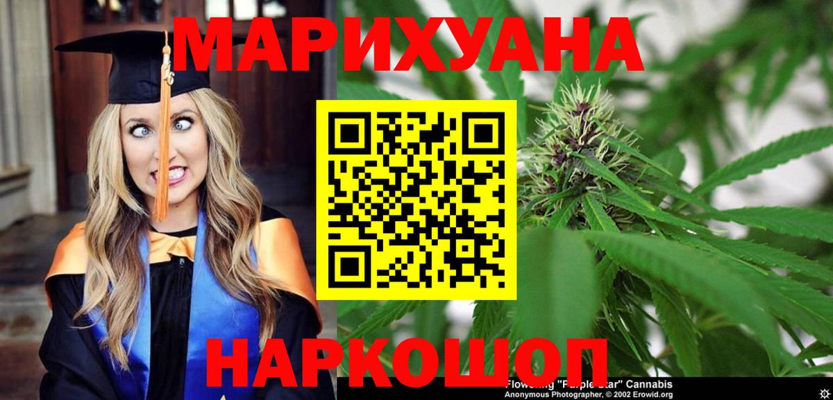 Киселёвск  Бошки Шишки OG Kush  Бошки Шишки OG Kush  МАРИХУАНА план  Вход с VPN  Канабис THC 21% 